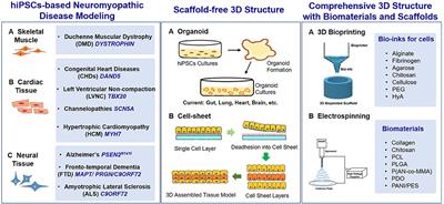 Biomaterials and Advanced Biofabrication Techniques in hiPSCs Based Neuromyopathic Disease Modeling